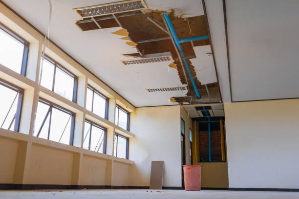 Best Basement water damage restoration  in Hudson, IA
