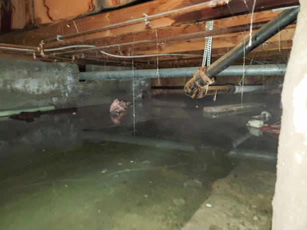 Best Sewage cleanup and water damage restoration  in Hudson, IA