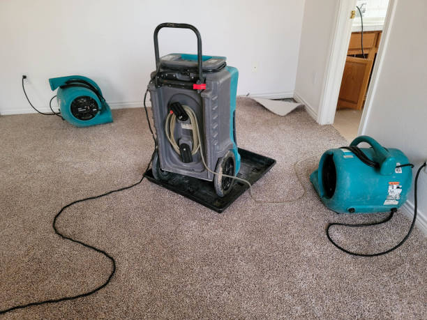 Best Water damage restoration cost  in Hudson, IA