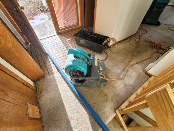 Best Flood damage cleanup  in Hudson, IA