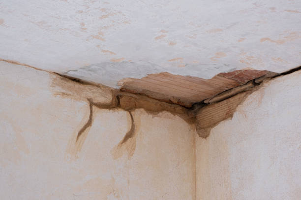 Best Water damage cleanup near me  in Hudson, IA