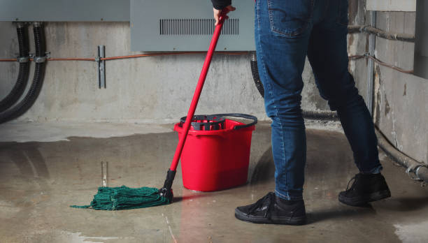 Best Water damage restoration near me  in Hudson, IA