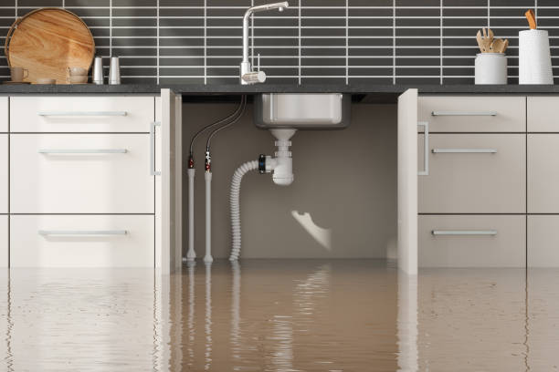 Best 24/7 water damage repair  in Hudson, IA