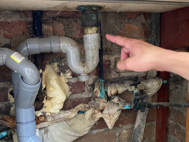 Best Ceiling water damage repair  in Hudson, IA