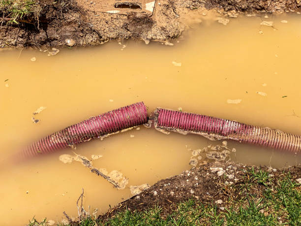 Best Water damage repair service  in Hudson, IA
