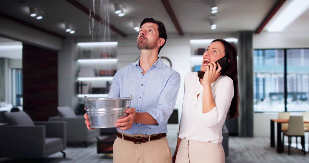 Best Flood restoration services  in Hudson, IA